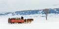 16 National Elk Refuge